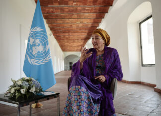 La ONU defiende el «imperio de la ley» tras muertes en operativos migratorios en EE. UU. ONU