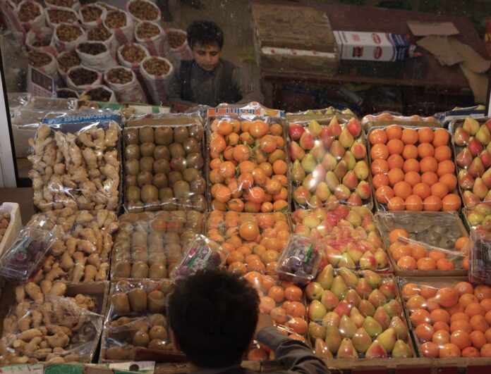 ONU: El hambre afecta a 645 millones de personas en el mundo, aunque se redujo en 2025