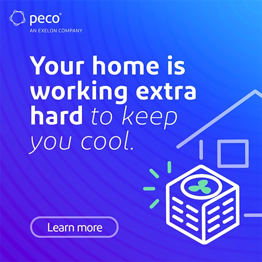 Banner de PECO en Inglés