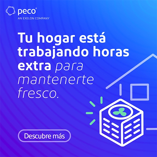 Banner de PECO en Español