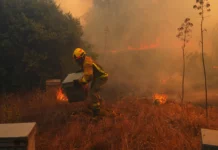 La ONU advierte que un inusual fenómeno de El Niño empeorará “un planeta que ya está en llamas” El Niño