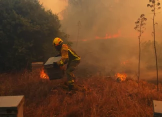 La ONU advierte que un inusual fenómeno de El Niño empeorará “un planeta que ya está en llamas” El Niño