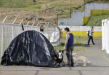 Los albergues, un oasis para las familias que perdieron todo por el terremoto en Colombia
