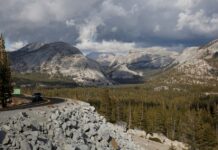 Gobierno Trump evalúa ceder terreno de Yosemite a una empresa privada y desata protestas Trump