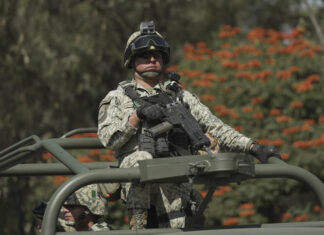 México envía 1.557 militares a zona aguacatera tras cierre de exportaciones a EE. UU.