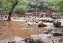 Un muerto y unos 15 desaparecidos tras inundación repentina en el Gran Cañón en Arizona