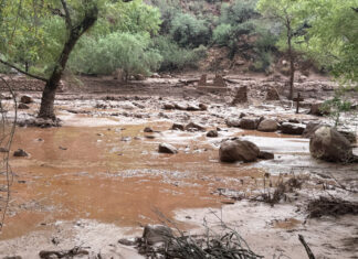 Un muerto y unos 15 desaparecidos tras inundación repentina en el Gran Cañón en Arizona
