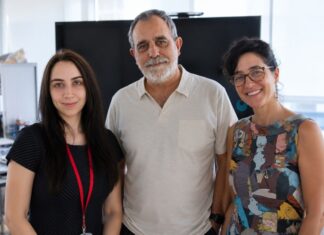 Identifican proteína esencial para prevenir daño hepático y tumores con el envejecimiento