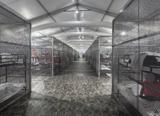 Reporte oficial constata uso de jaulas y otros abusos a inmigrantes en Alligator Alcatraz