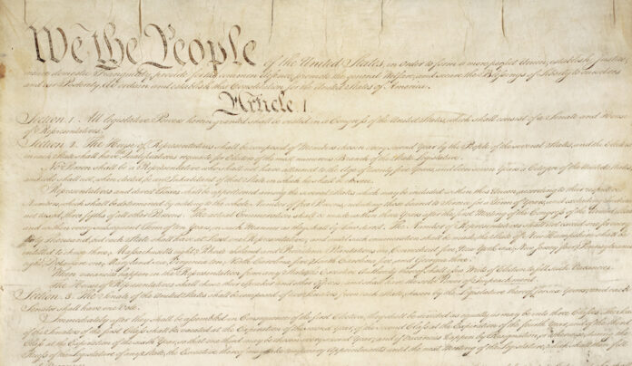 OP-Constitution-Tencha-Foto_1