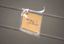 Septiembre: un mes para hablar de prevención del suicidio y recordar que pedir ayuda importa