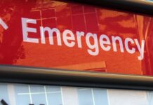 Florida reporta el mayor brote de dengue de EE. UU. en más de una década con más de 250 casos