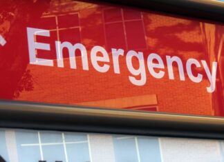 Florida reporta el mayor brote de dengue de EE. UU. en más de una década con más de 250 casos