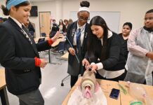Esperanza College announces 10th annual Symposium on Minorities in the Health Sciences