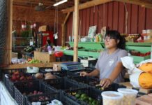 Ofensiva migratoria de Trump golpea a los negocios latinos en EE. UU.