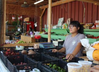 Ofensiva migratoria de Trump golpea a los negocios latinos en EE. UU.