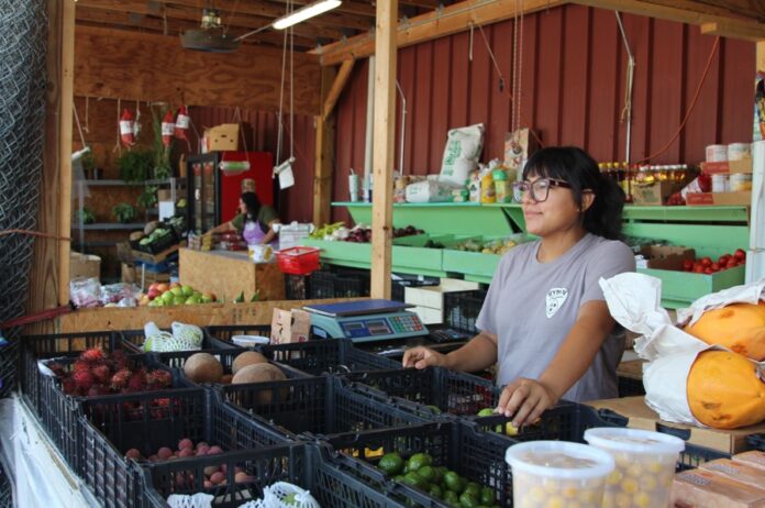 Ofensiva migratoria de Trump golpea a los negocios latinos en EE.UU.