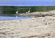 La sequía sigue afectando al 64 % de Puerto Rico y el nivel de La Plata vuelve a bajar