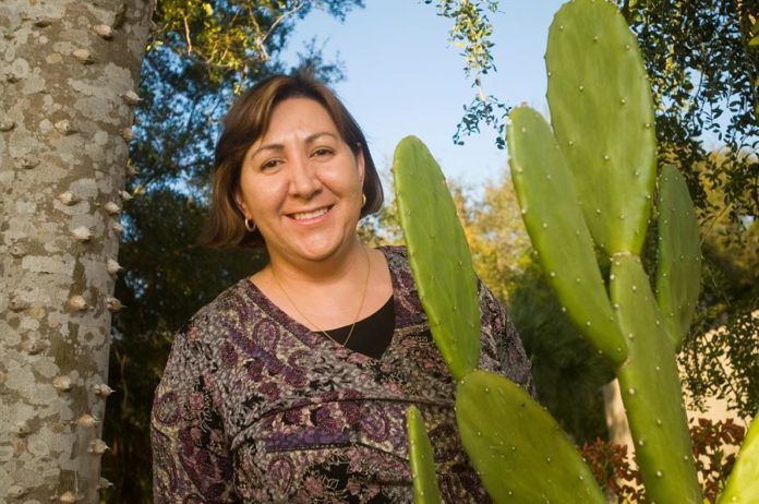 El saber de una abuela mexicana dio el éxito