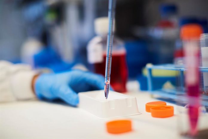 Crean una herramienta que predice el impacto de las mutaciones