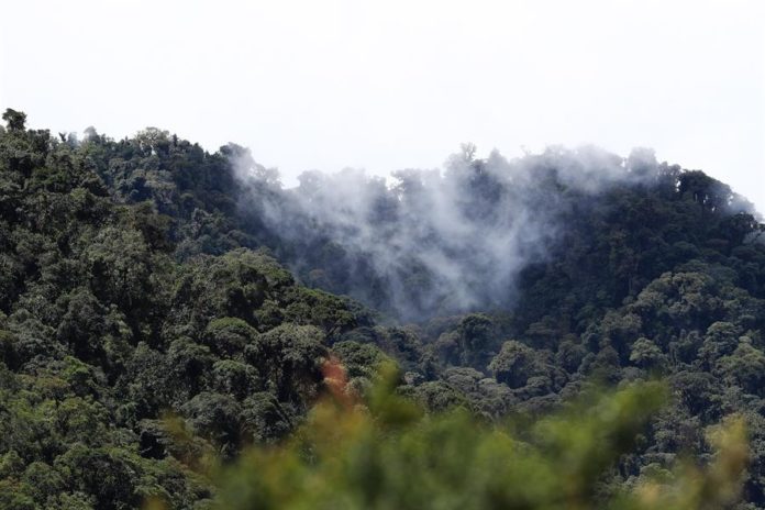 El año 2021 fue el sexto más caluroso desde que hay registros según la NASA